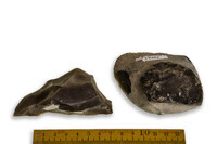 F 13005
<br/>
<br/>
<em></em>